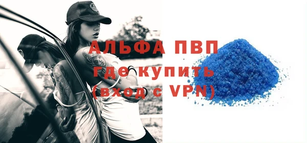 ECSTASY Вяземский