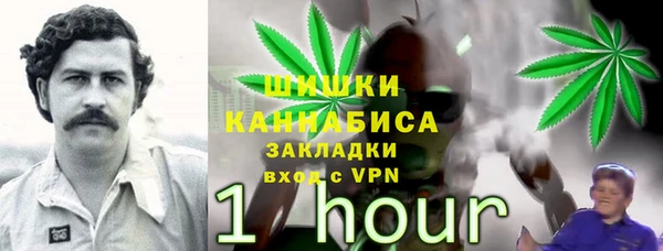 бошки Вязьма