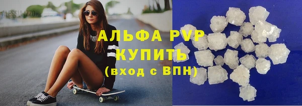 СК Волоколамск