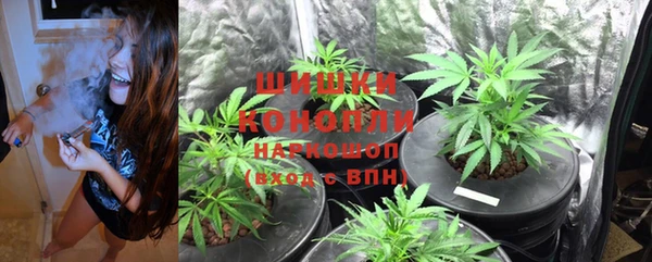 ECSTASY Вяземский