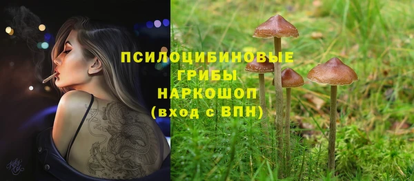 соль курить ск Володарск
