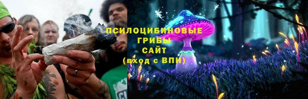 бошки Вязьма
