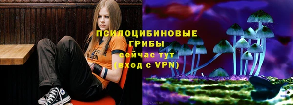 ECSTASY Вяземский
