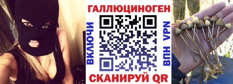 Псилоцибиновые грибы MAGIC MUSHROOMS  Камбарка 